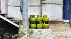 Diduga Pakai Gas Melon untuk Pemanas Kandang Ayam, Peternakan di Simpenan Disorot Warga
