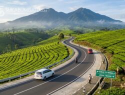 Pemkab Bogor Rencanakan Jalan Poros Baru Sukabumi-Bogor-Lebak, Dinas PU Sukabumi: Dorong Ekonomi dan Pariwisata