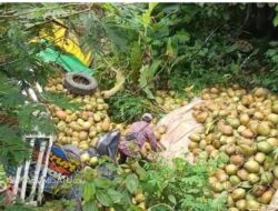 Diduga Mengantuk, Mobil Terjun 6 Meter ke Kali Ciminyak Sagaranten, Sopir dan Kenek Luka Parah