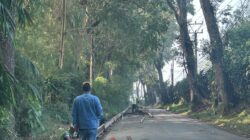 DPU Kabupaten Sukabumi Mulai Rekonstruksi Jalan Parungkuda–Bojongpari, Anggaran Rp1,33 Miliar