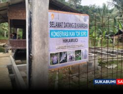Sukses! Lewat Metode Stripping, Petani Binaan Star Energy Geothermal Sukabumi Berhasil Tetaskan 3.000 Ikan Torsoro