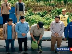 Kuatkan Ketahanan Pangan, Disperkim Sukabumi Dukung Penuh Kolaborasi Lintas Sektor Pertanian