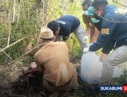Misteri Jasad Kebun Jati PT IBP Sagaranten: Wajah Tak Dikenali, Pakaian Merah dan Rambut Panjang Jadi Petunjuk