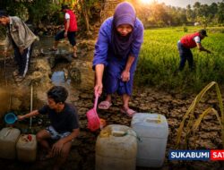 Nestapa Kemarau di Cibadak: Sawah Gagal Panen, Mandi Pun Warga Harus Rebutan Air ‘Kobak’