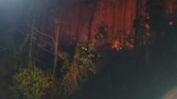 Kebakaran Lahan di Bantargadung, Damkar Kerahkan Dua Unit Mobil Pemadam