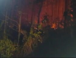 Kebakaran Lahan di Bantargadung, Damkar Kerahkan Dua Unit Mobil Pemadam