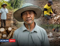 Kisah Maryoto, Purnabakti TNI di Cikembar Sukabumi yang Sukses Sulap 52 Hektar Lahan Jadi Kebun Singkong