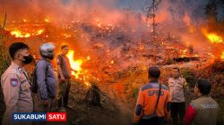 Marak Karhutla di Sukabumi: Belasan Hektar Lahan Perhutani Jampangtengah Terbakar, Permukiman di Simpenan Sempat Terancam