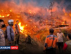 Marak Karhutla di Sukabumi: Belasan Hektar Lahan Perhutani Jampangtengah Terbakar, Permukiman di Simpenan Sempat Terancam