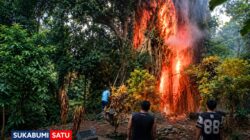 Beringin Tua di Pemakaman Cibadak Tiba-tiba Terbakar, 2 Mobil Pemadam Diturunkan