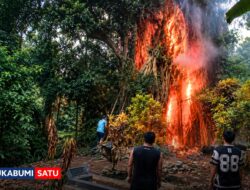Beringin Tua di Pemakaman Cibadak Tiba-tiba Terbakar, 2 Mobil Pemadam Diturunkan