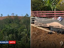 Hutan di Palabuhanratu Botak Demi Durian: Saat Fungsi Ekologis Dikalahkan Ambisi Bisnis
