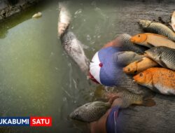 SPPG Nagraksari Diadukan ke Polisi, Ipal Limbah Dapur Diduga Jadi Biang Kerok