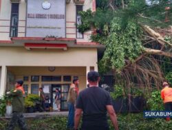 Diterjang Hujan Angin, Pohon Tumbang Timpa Bangunan Sekolah di Cicurug, Siswa Sempat Panik