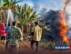Ulah Iseng Bakar Bambu, Lahan 2.000 Meter di Ciheulang Cibadak Terbakar