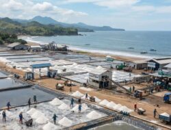 Industri Garam Terintegrasi di Pesisir Kabupaten Sukabumi