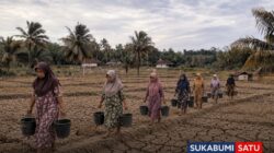 Jeritan Warga Mandrajaya Ciemas Terancam Kekeringan: Mengangkut Air 3 Km, Berharap Sentuhan Pemerintah