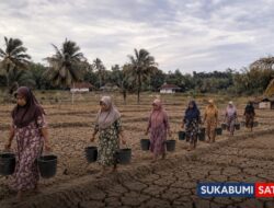 Jeritan Warga Mandrajaya Ciemas Terancam Kekeringan: Mengangkut Air 3 Km, Berharap Sentuhan Pemerintah