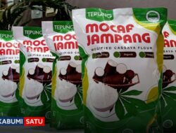 Potensi Hilirisasi Singkong Menjadi MOCAF di Jampang Kulon: Dari Komoditas Murah Menuju Ekosistem Pangan Bernilai Tinggi