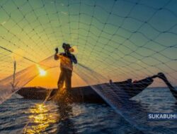Jaring Tanam dan Apollo Dinilai Ganggu Laut Ujunggenteng, 70 Persen Nelayan Obor Minajaya Berhenti Melaut