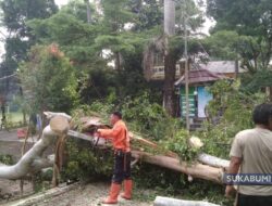 Angin Kencang Sapu Pohon Berukuran Besar di Kadudampit, Timpa Atap Kantor Kecamatan hingga Rusak Berat