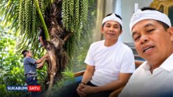 KDM Instruksikan Kades Data Pohon Aren di Jabar, Janji Dibeli Pemprov Demi Ekologi