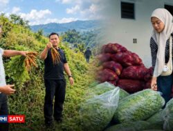 Perkuat Rantai Pasok dan Kepastian Pasar, Koperasi RFF Dorong Stabilitas Ekonomi Petani Sukabumi