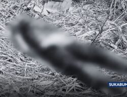 Mayat Tanpa Identitas Ditemukan di Kebun Jati Ciemas Sukabumi, Kondisi Membusuk