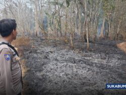Detik-Detik Api Mendekati Gedung UPTD Pertanian Sagaranten, Berhasil Dicegat 10 Meter Sebelum Bangunan