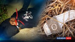 Terungkap! Identitas Jasad Wanita di Kebun Jati Ciemas: Terduga Pelaku Diamankan Polisi Motif Asmara Maut